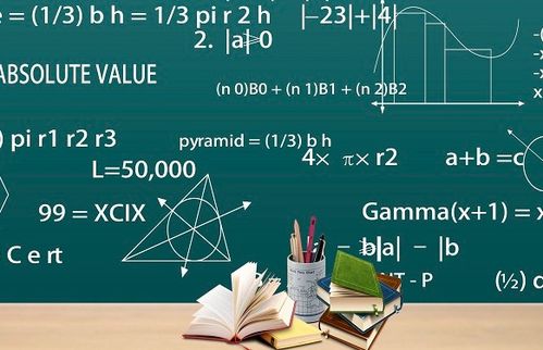 学历教育与非学历教育 解析小学学历教育的定位与特点